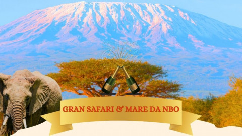2025 africa gran safari e mare natale e capodanno IN36