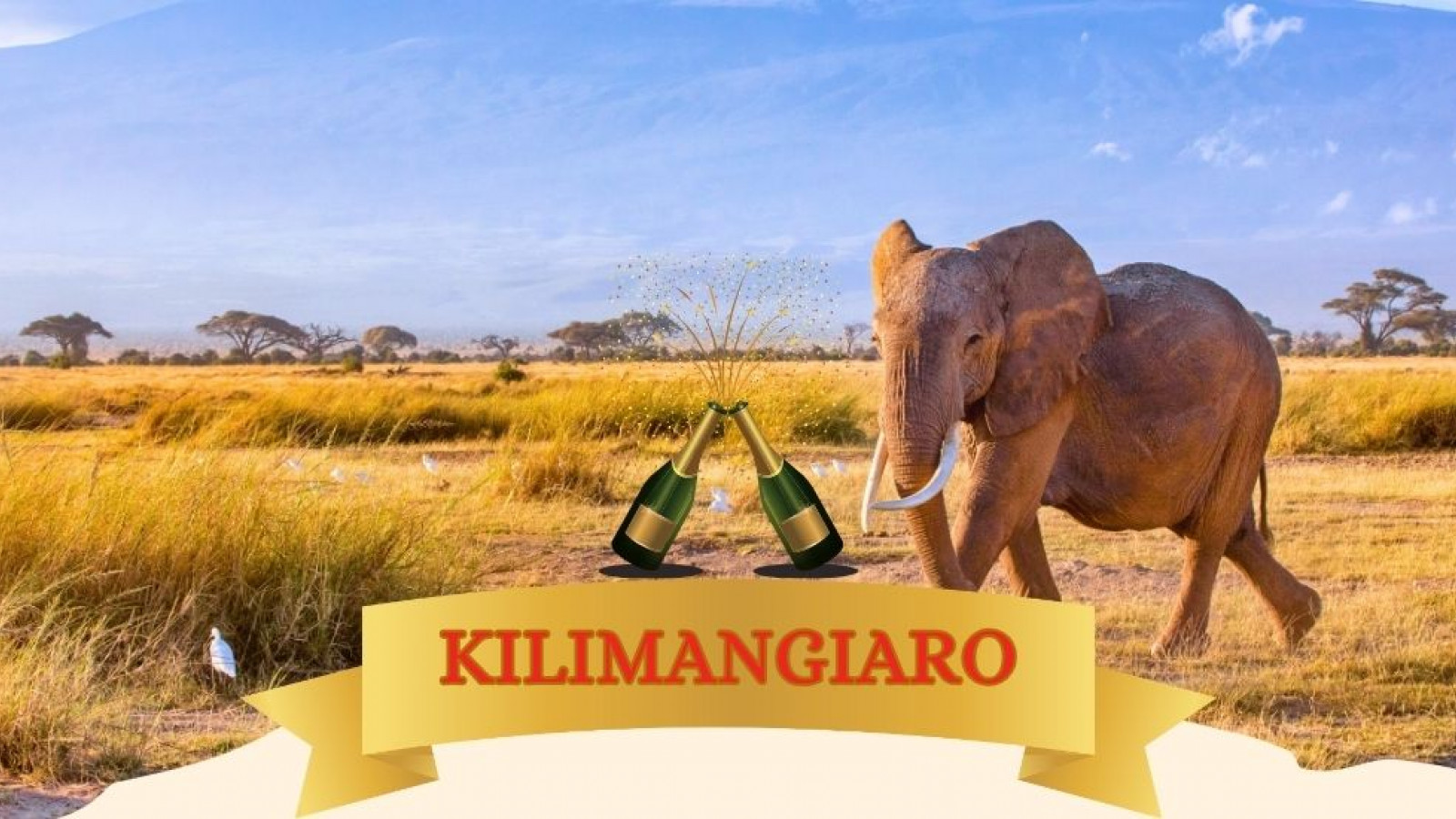 2025 africa kilimangiaro e mare natale e capodanno IN36