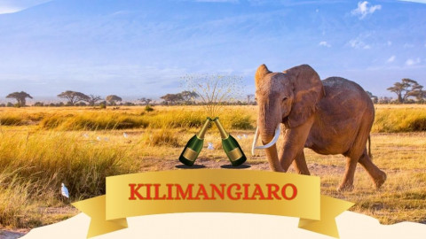 2025 africa kilimangiaro e mare natale e capodanno IN36