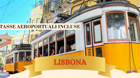 2025 lisbona immacolata 5 12 IN36