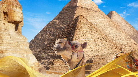 2026 cairo city break 31 05 N IN36