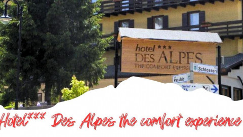 2025 trentino estate des alpes IN36