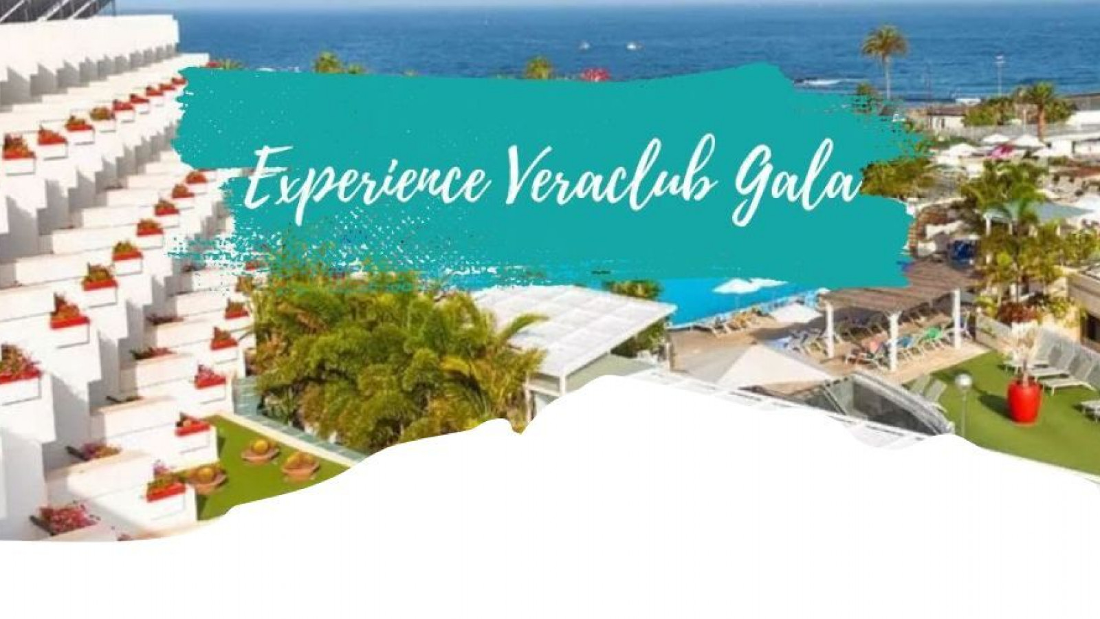 2025 veraclub gala IN36