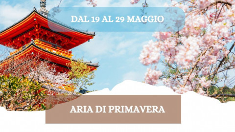 2026 W giappone aria di primavera 19 05 26 IN36