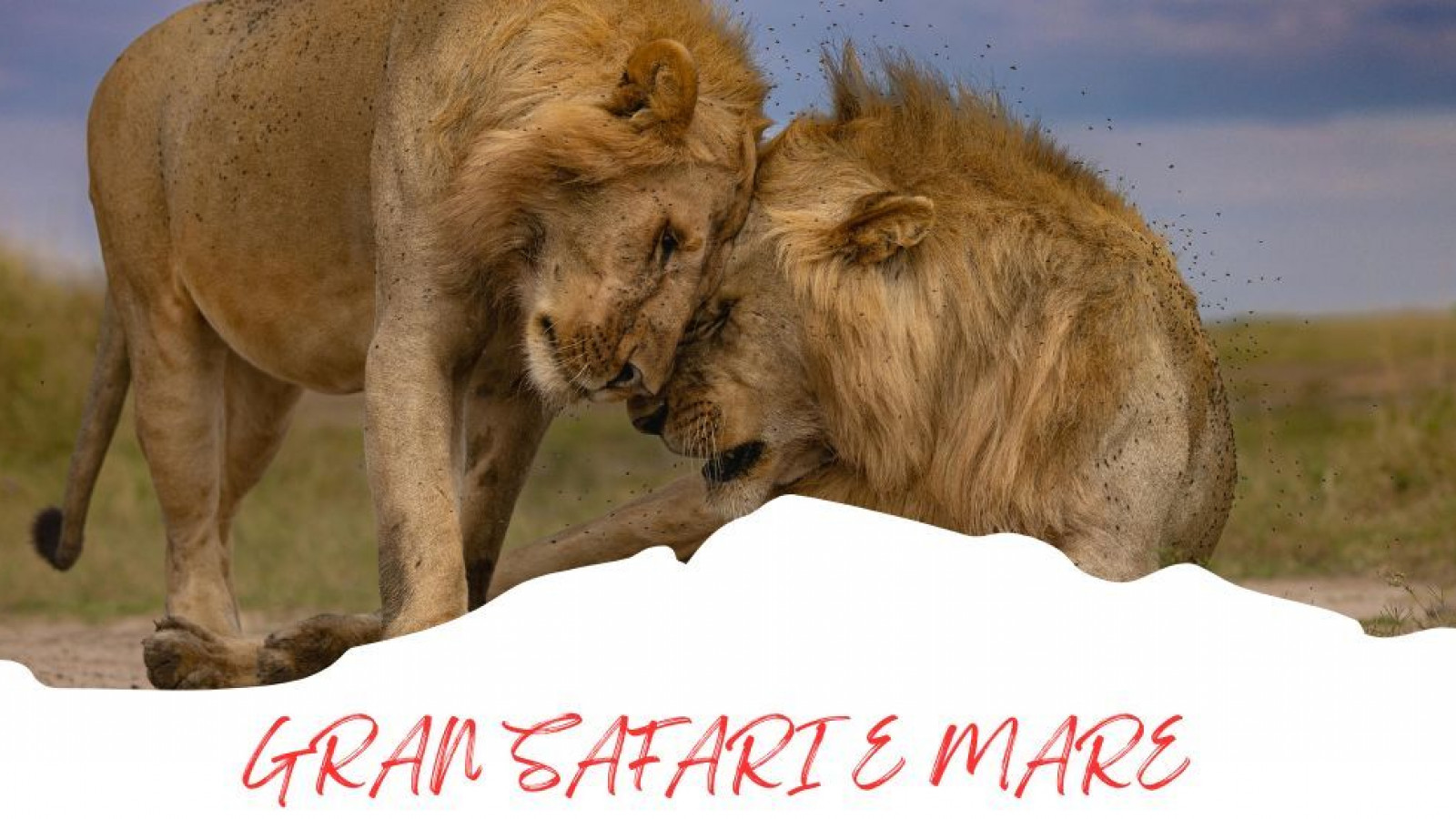 2025 africa gran safari e mare 25 IN36