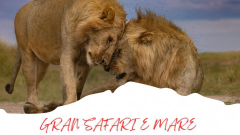 2025 africa gran safari e mare 25 IN36