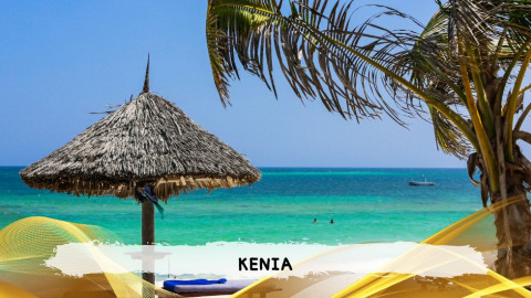 2026 kenya 9,14 08 T IN36