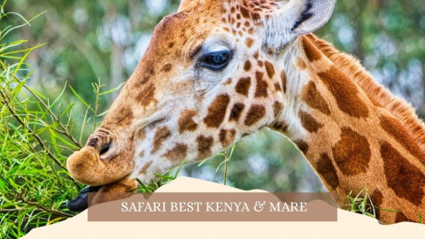 2025 africa best kenia e mare gennaio marzo 26 IN36