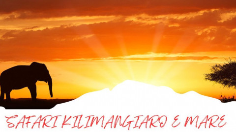 2025 africa kilimangiaro e mare 2025 IN36