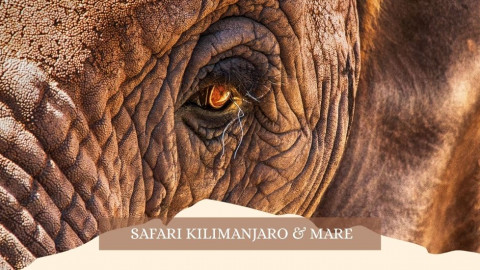 2025 africa kilimangiaro e mare gennaio marzo 2025 IN36