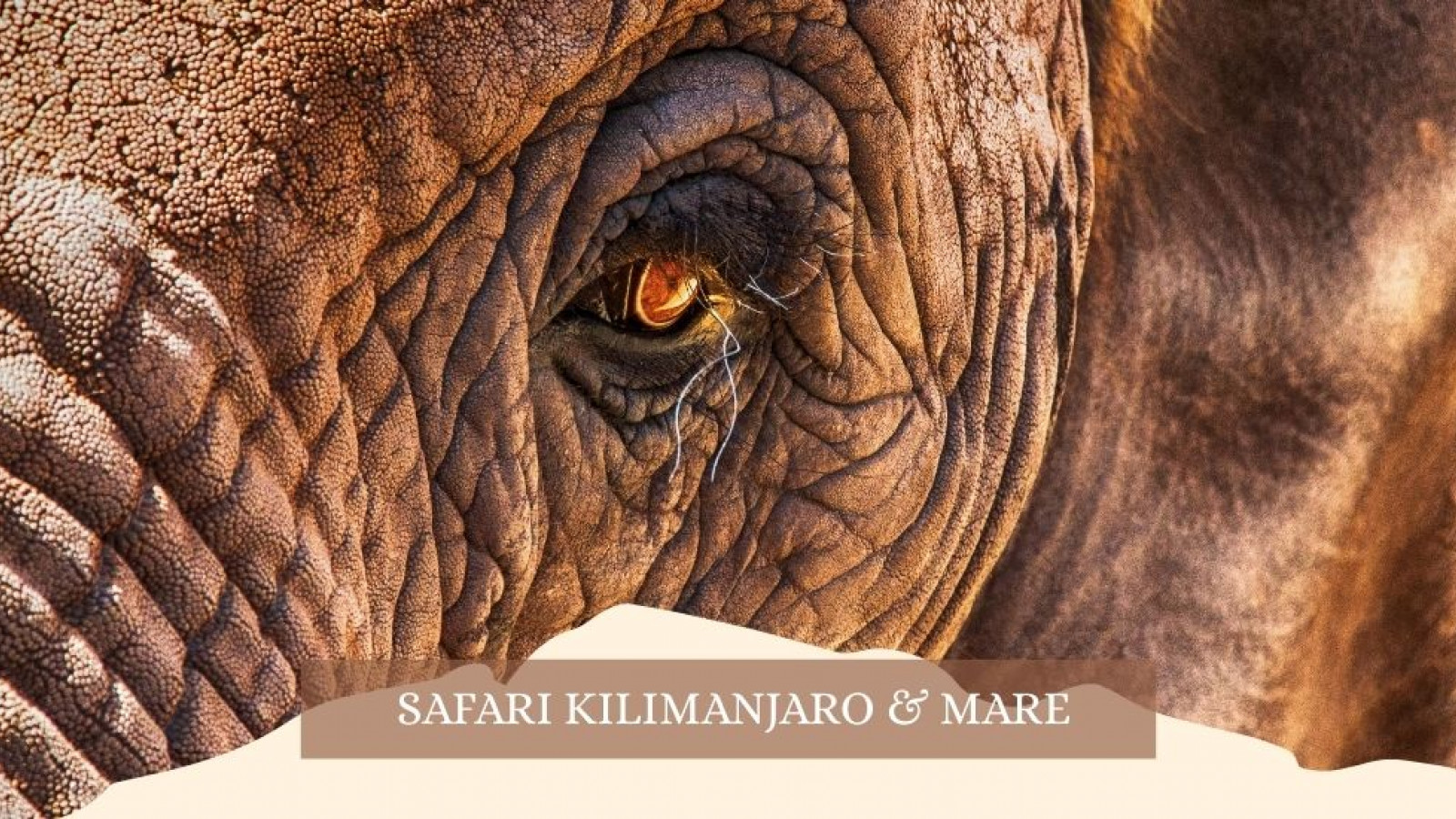 2025 africa kilimangiaro e mare gennaio marzo 2025 IN36
