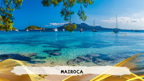 2026 maiorca 11 agosto napoli T IN36