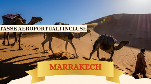2025 marrakech immacolata 5 12 25 IN36