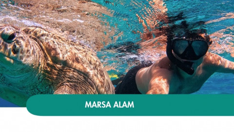 2026 marsa alam halloween T IN36