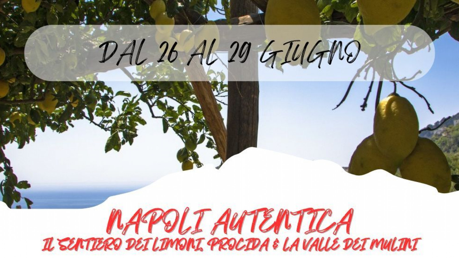  2025 W napoli autentica 26 06 25 IN36