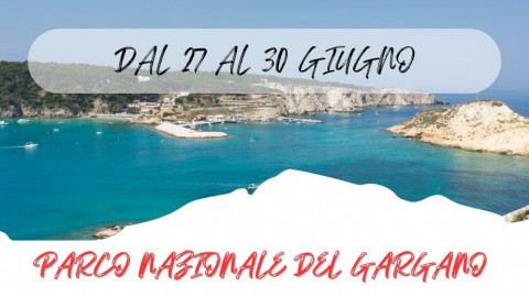 2025 W parco nazionale del gargano 27 06 25 IN36