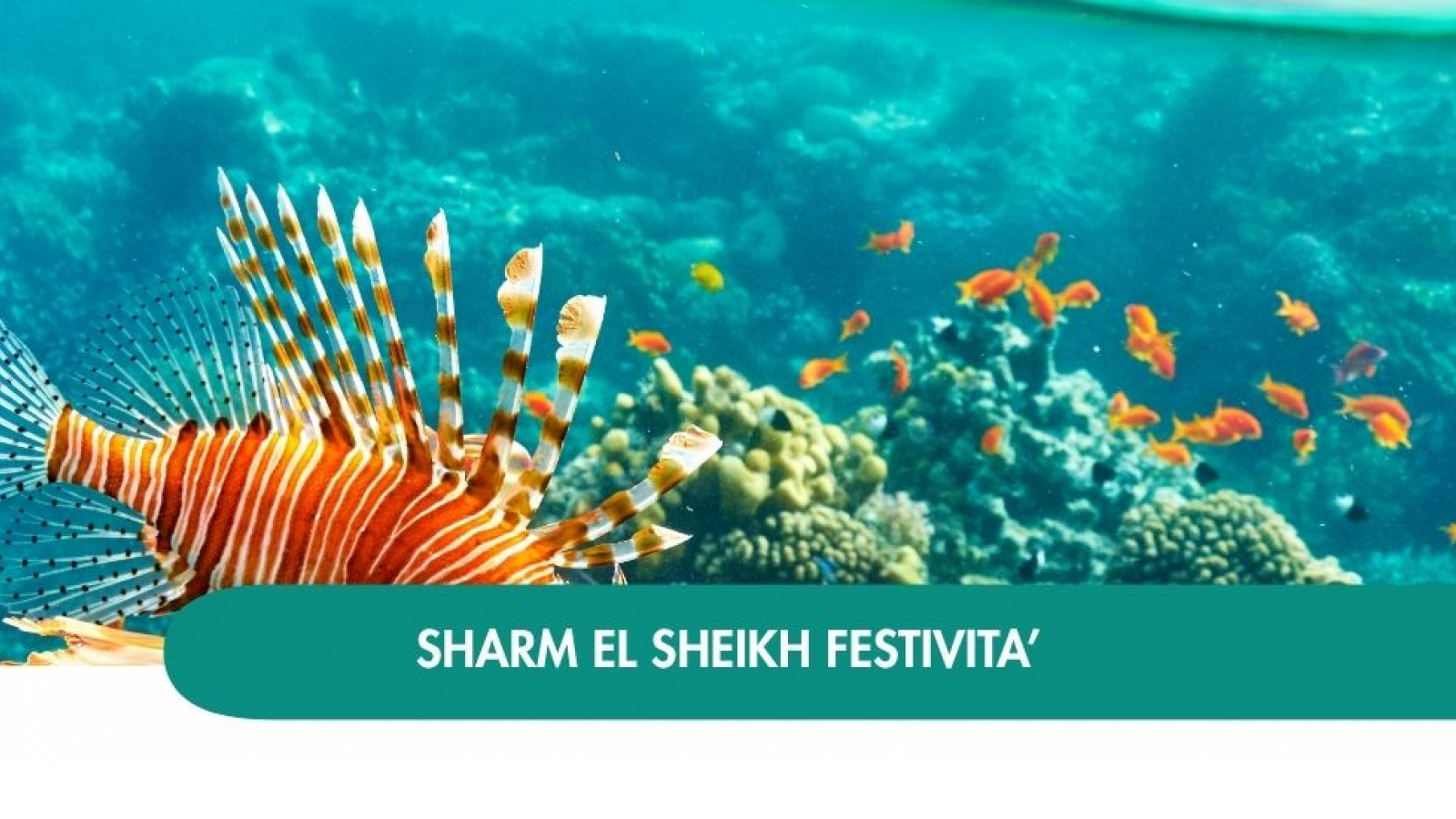 2026 sharm el sheikh queen festivita T IN36