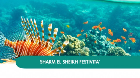 2026 sharm el sheikh queen festivita T IN36