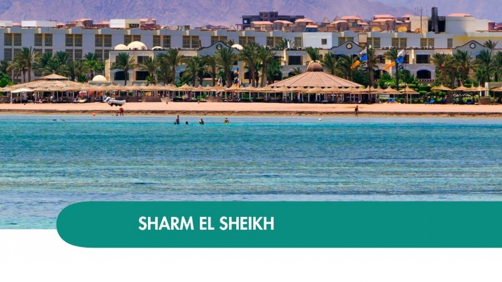 2026 sharm el sheikh queen immacolata T IN36