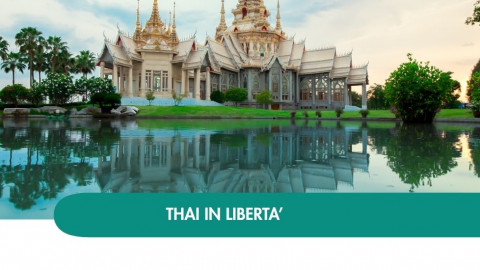 2026 thailandia halloween T IN36