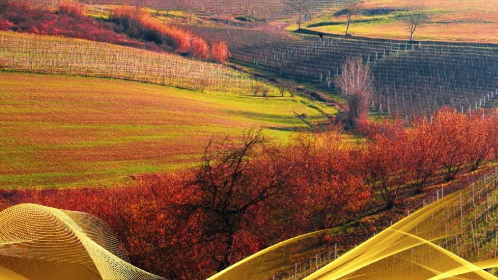 2026 W torino e le langhe 30 05 IN36