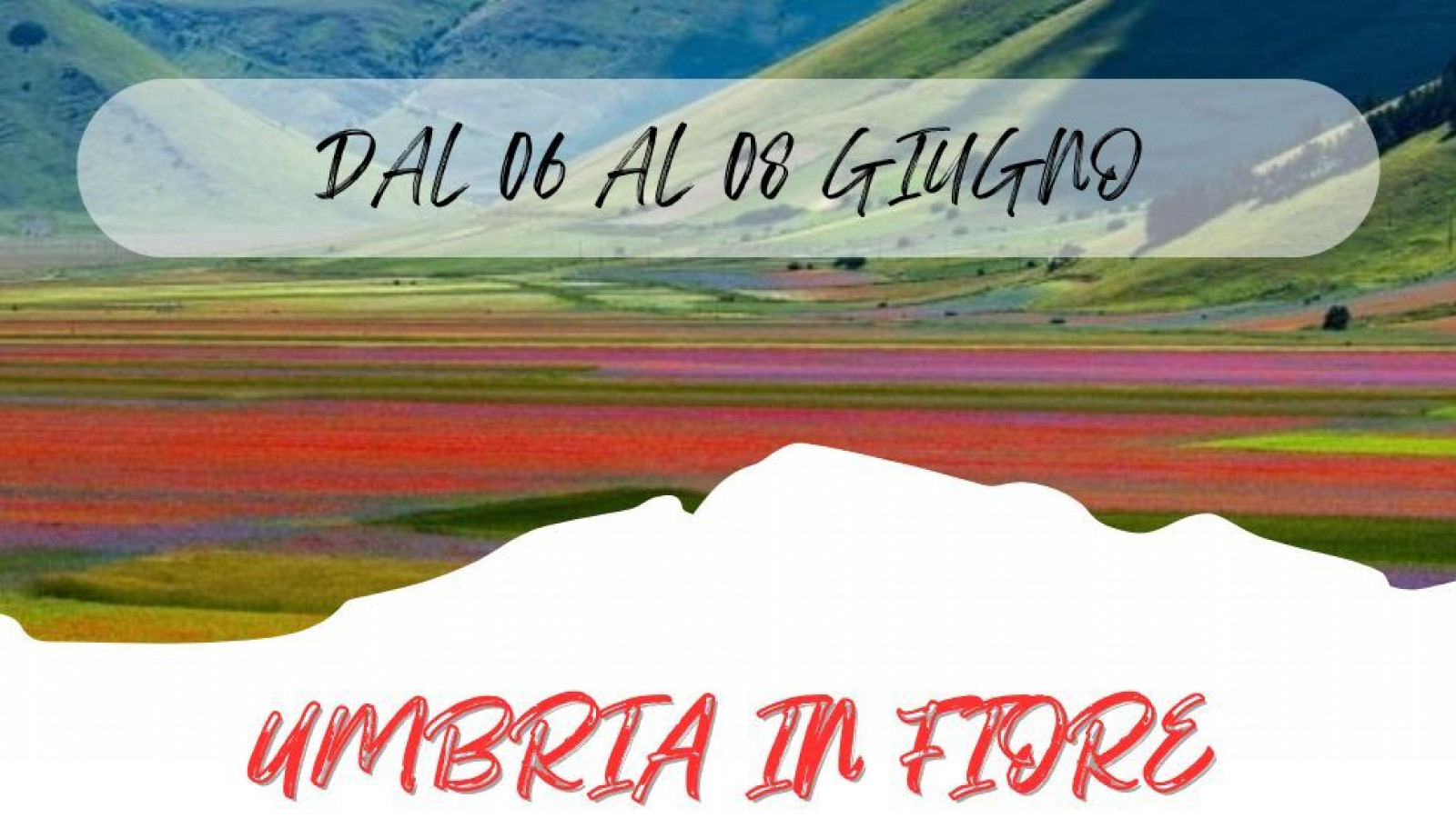 2025 W umbria in fiore 06 06 25 IN36
