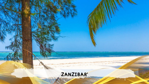 2026 zanzibar 11 08 T IN36